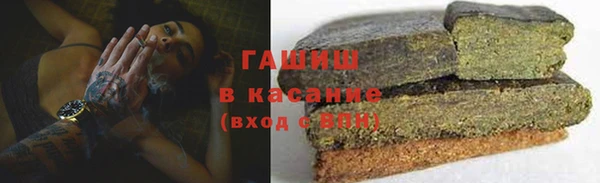 стаф Алзамай