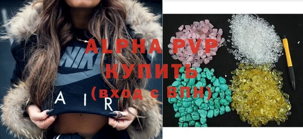 стаф Алзамай