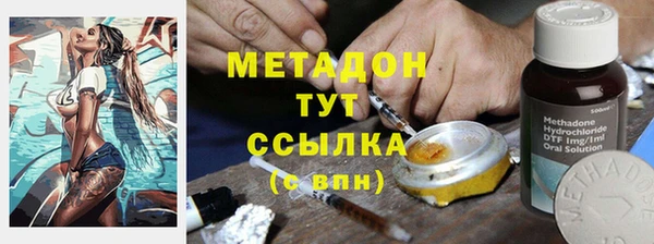 стаф Алзамай
