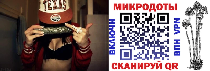что такое Балашов Псилоцибиновые грибы мухоморы
